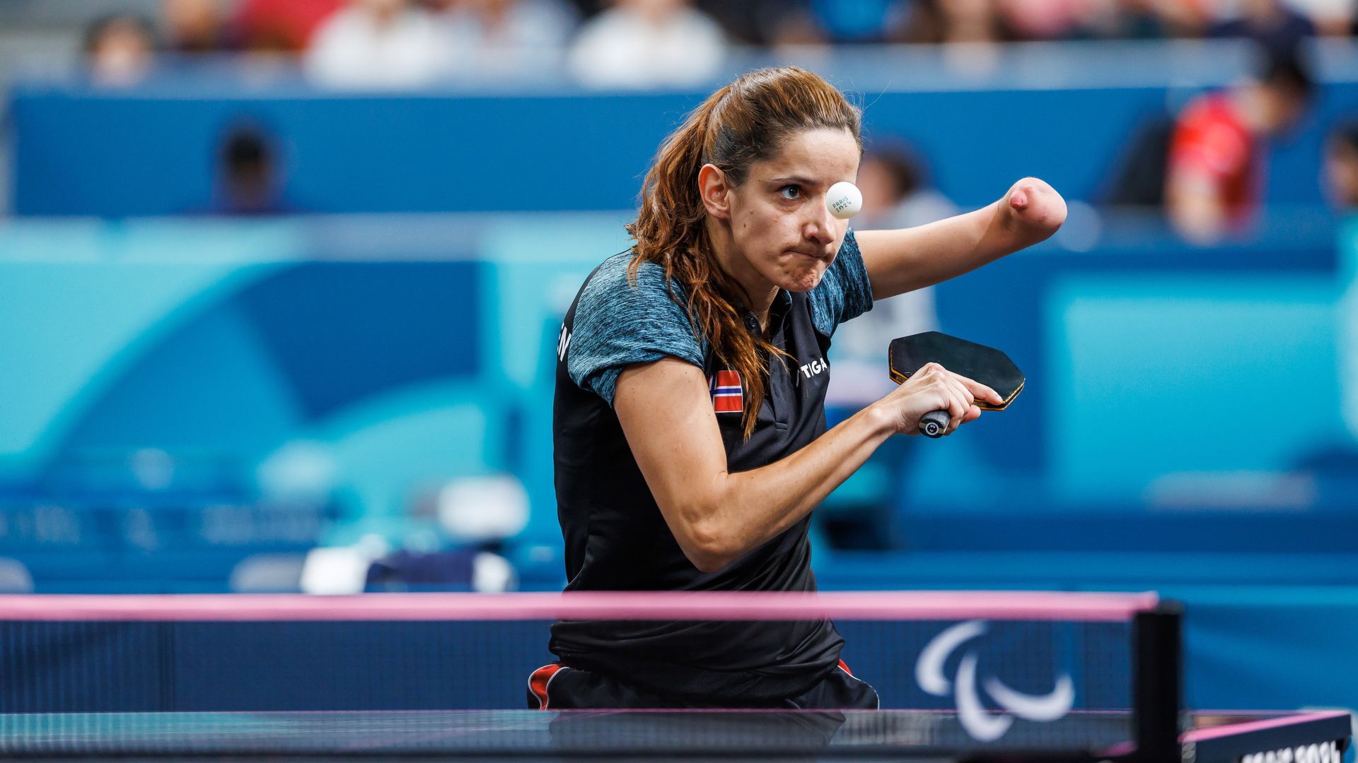 I samarbeid med særforbund og idrettskretser har NIF utarbeidet forslag til tiltak som kan gjøre det enklere å tilrettelegge for paraidrett