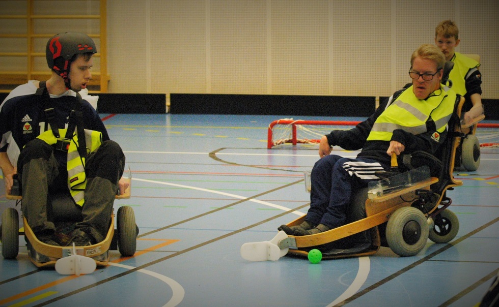 Elinnebandy WEB.jpg