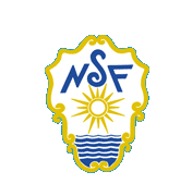 nsflogo.gif