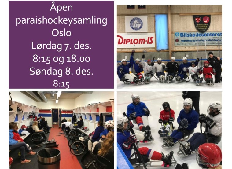 Parahockeysamling Oslo.jpg